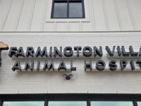 Custom Made LED Channel Letter Sign