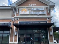 Sun City Animal Hospital - Channel Letter Sign