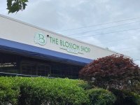 Exterior Building  Sign for The Blossom Shop