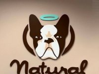 Interior Feature Wall Sign for Natural Dog Company of Charlotte - JC Signs 2022